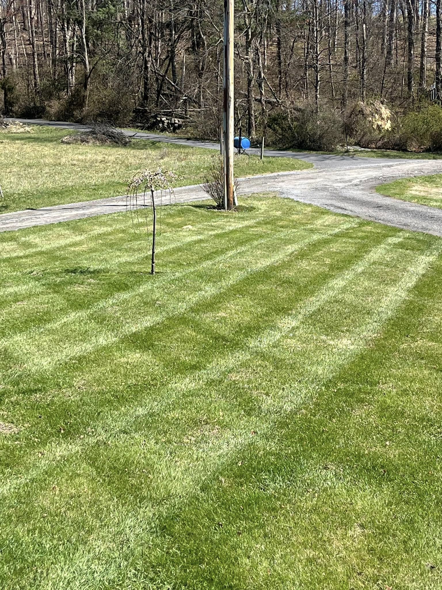 Clean striped mow pattern along a residential driveway